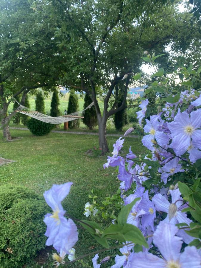 Blue Village Lux Kolašin Zewnętrze zdjęcie